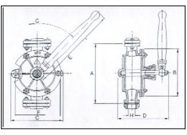 Patay Semi Rotary Pump Iron 3/4" BSP