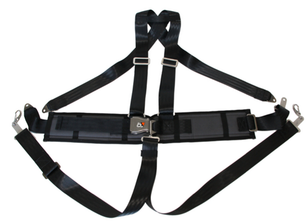 Blokart 5-Point Disabled Harness Complete