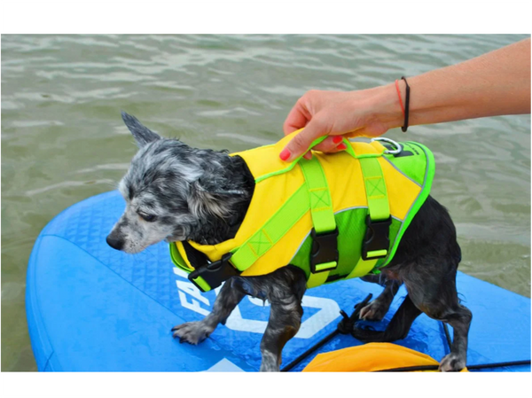 Restube Dog Life Jacket - 4 Sizes