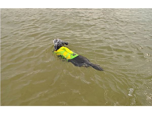Restube Dog Life Jacket - 4 Sizes