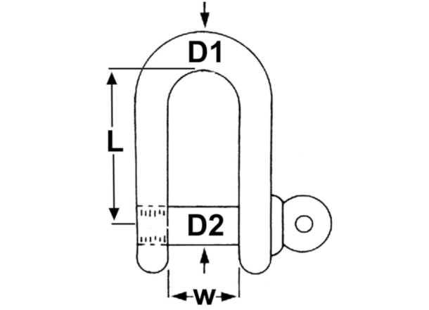 shackles sizes