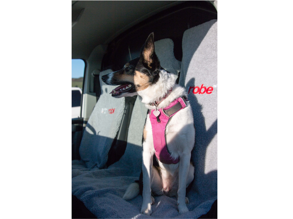 Dryrobe Water-repellent Car Seat Cover - In Stock