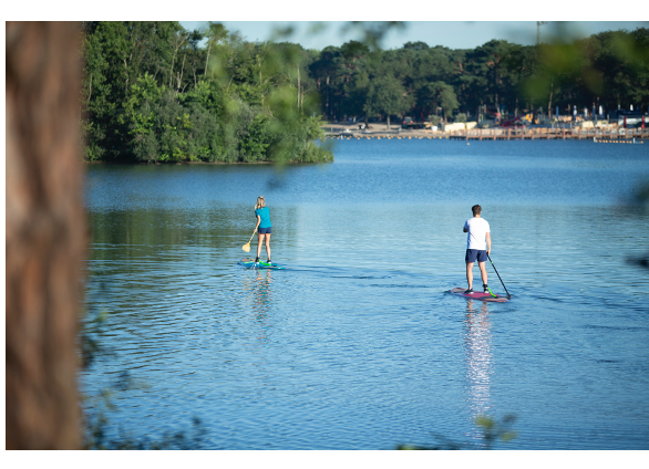 Jobe Parana 11'6" Bamboo SUP - New 2022 Model - Slight Underneath Damage Repaired- Save £400.00