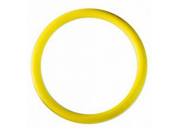 Airmar DST800 Yellow O Ring for valve
