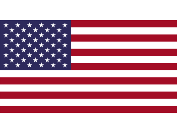 United States Courtesy Flag Polyester 45 x 30cm