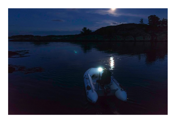 Navisafe Polelight Pack - All Round White