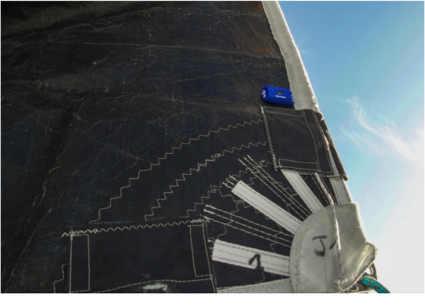 Spinlock Sail-Sense Device Packaged Single