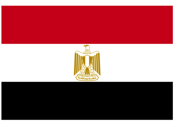 Egypt Courtesy Flag Polyester 45 x 30cm