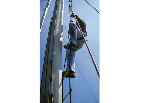 Anti-Torsion Ladder for Mast Climbing - 4 Sizes