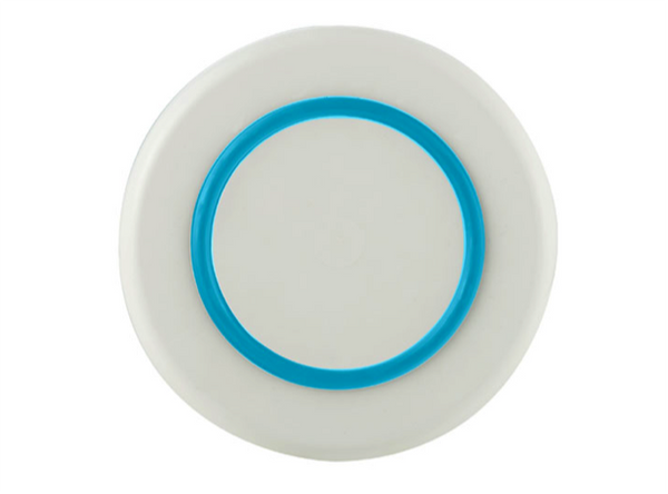 Palm Sorona Medium Plate with Blue Non-Slip Base