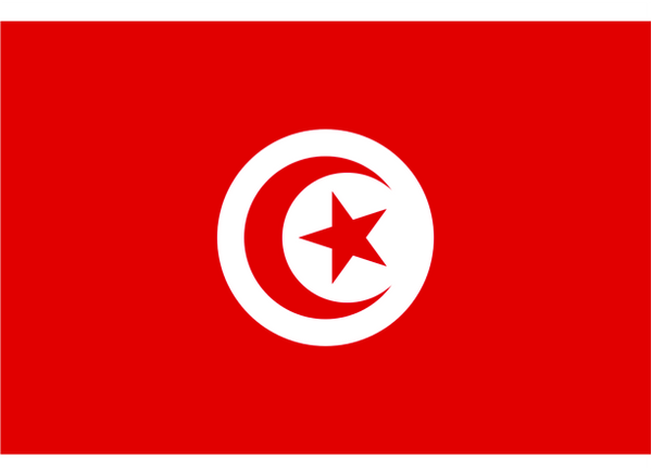 Tunisia Courtesy Flag Polyester 45 x 30cm