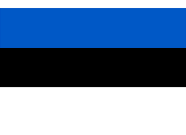 Estonia Courtesy Flag Polyester 45 x 30cm