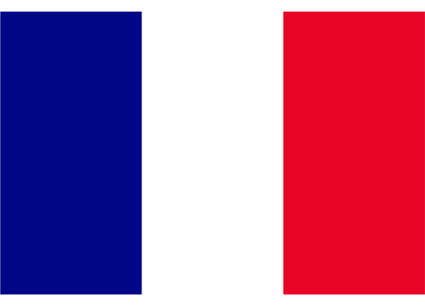 France Courtesy Flag Polyester 45 x 30cm