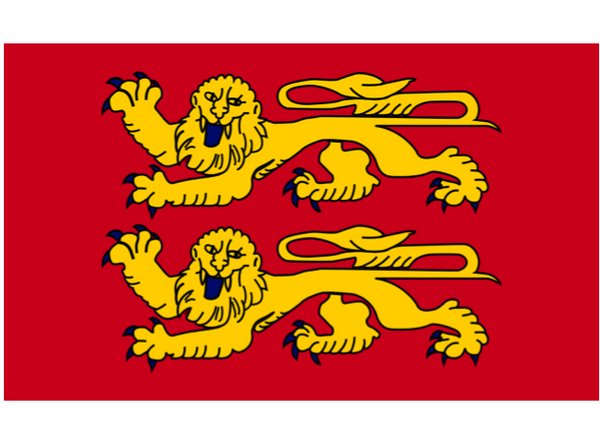Normandy Courtesy Flag Polyester 45 x 30cm